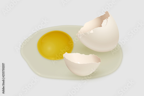 White eggshell on yolk isolated on gray background. Vector illustration.