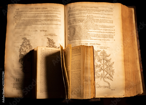 Antique Book About Cannabis photo