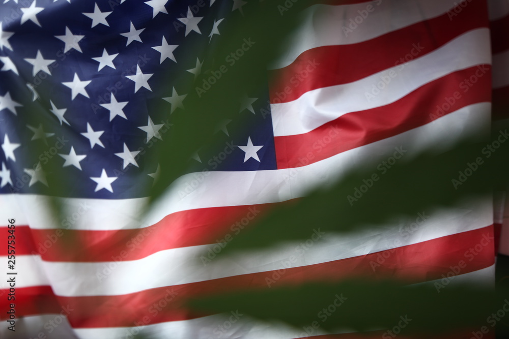 Obraz premium american flag of united states of america