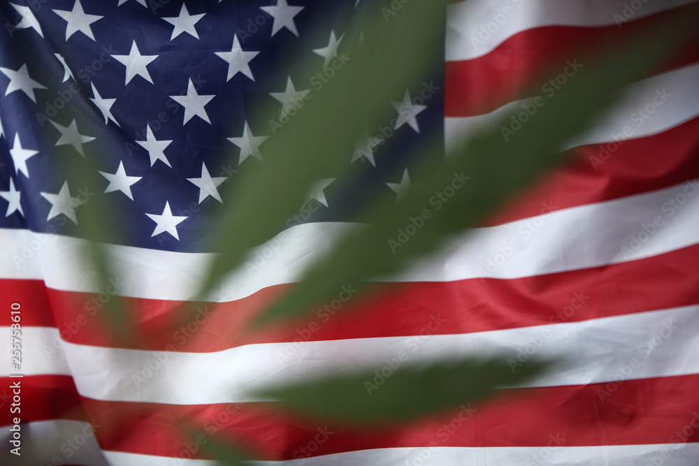 Fototapeta premium american flag of united states of america