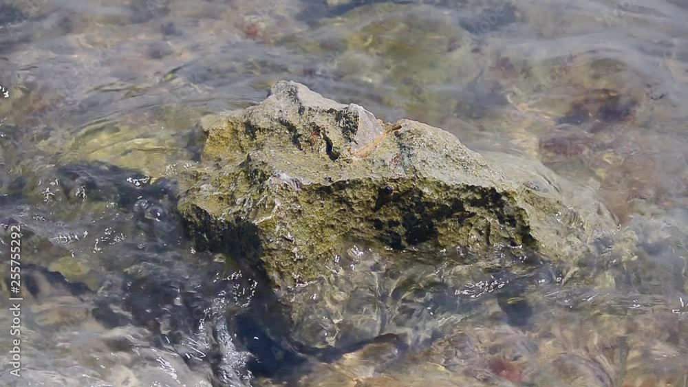 Adriatic sea surface and rocks Adriatic sea surface and rocks