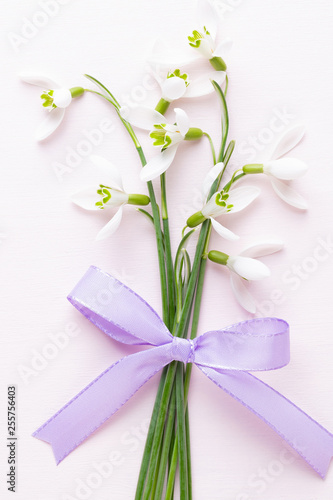 Fresh snowdrops on pink background with place for text. Spring greeting card. © gitusik