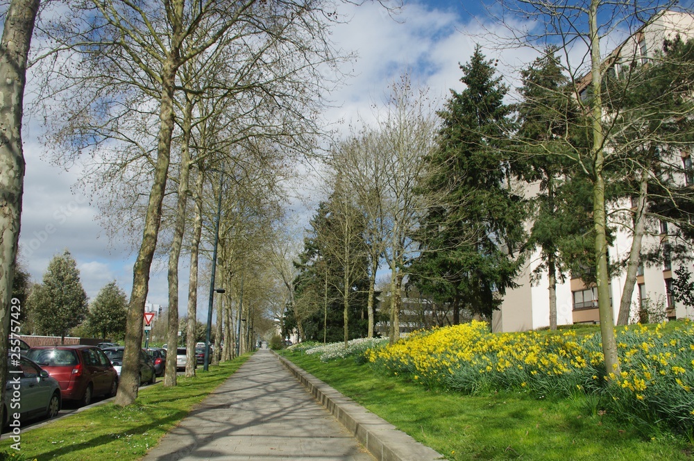 Promenade Avenue Fréville