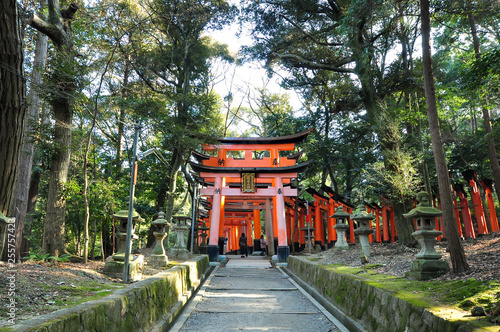 The red gates with forest in Fishimi Inari shrine in Kyoto Japan