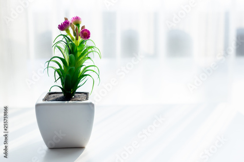 Flowerpot on the white table in a home office