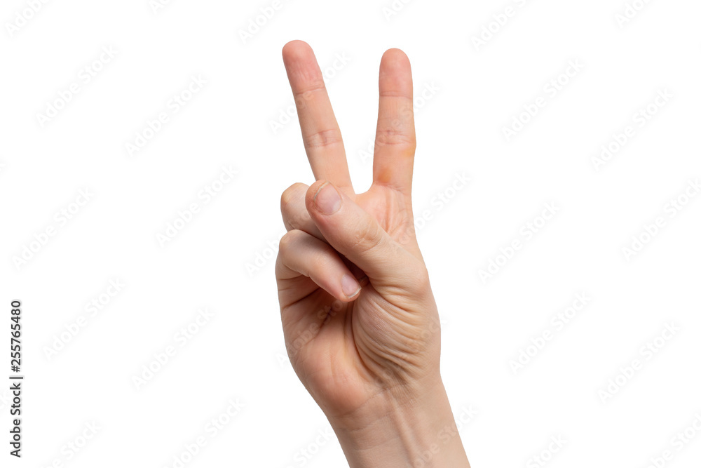 Victory sign gesture on a white background. Victory sign gesture on a white background.