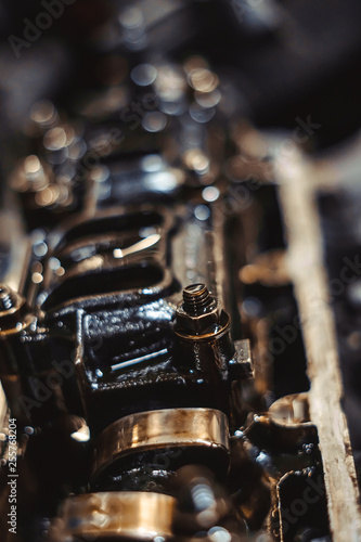 engine valve in oil
