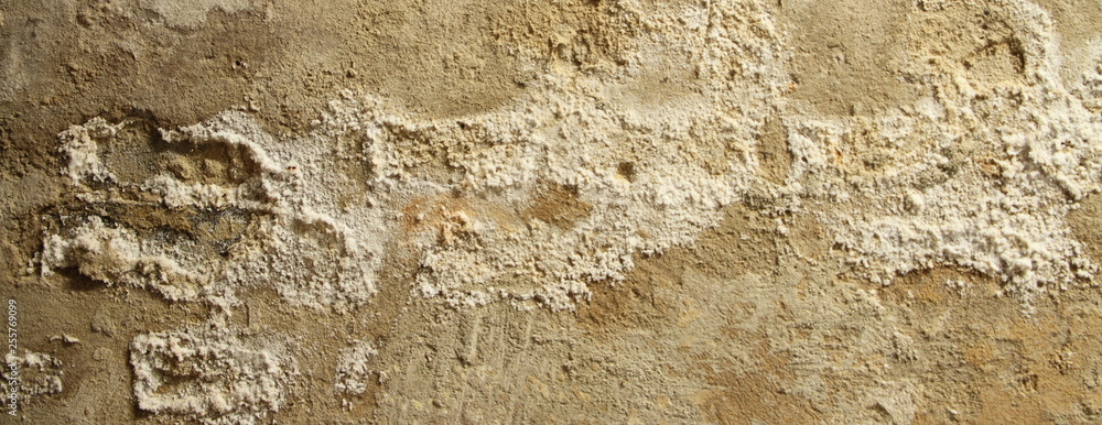 Obraz premium eine feuchte Kellerwand