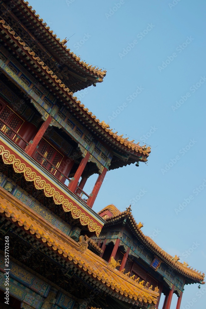 Roofs of Chinese palace or temple - Forbidden City, Beijing China