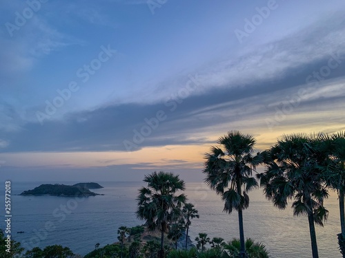 Photo of the sunset with palm tree silhouette 
