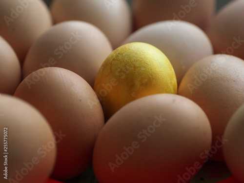 one gold egg lays among ordinary common eggs, cocept of luck