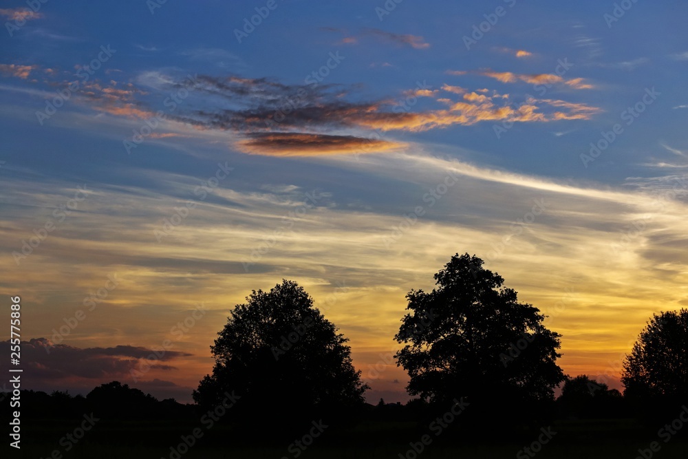 Sylwetki drzew na tle pieknego kolorowego nieba o zachodzie słońca