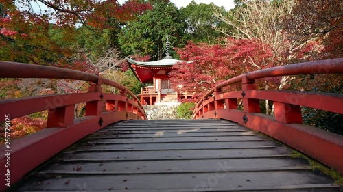 Wallpaper Mural Daigo-ji temple with colorful maple trees in autumn at Kyoto,Japan Torontodigital.ca