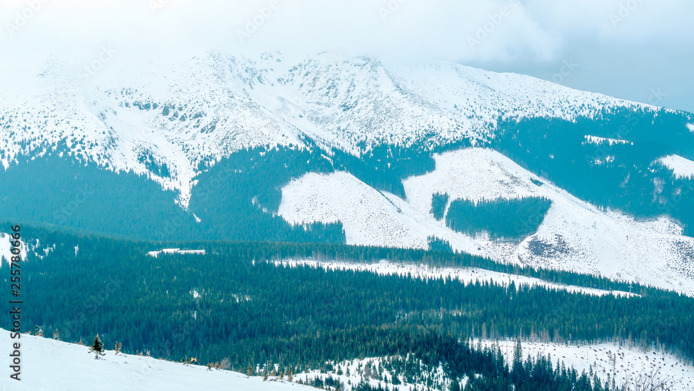 Obraz premium Winter view from Jasna ski resort, Chopok montain