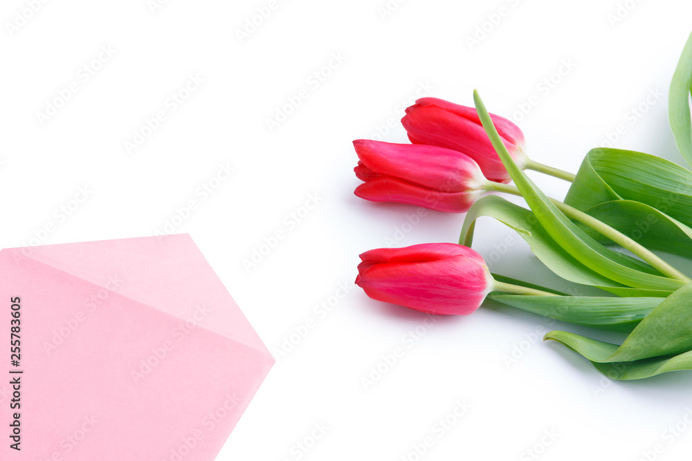 Fototapeta premium Three tulips and the letter on the white background