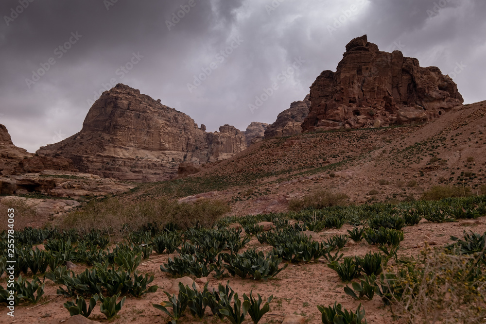 Landscape in Petra Jordan