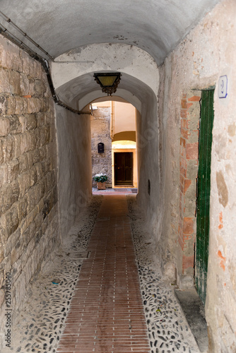 Picturesque alley in the medieval village © Mario