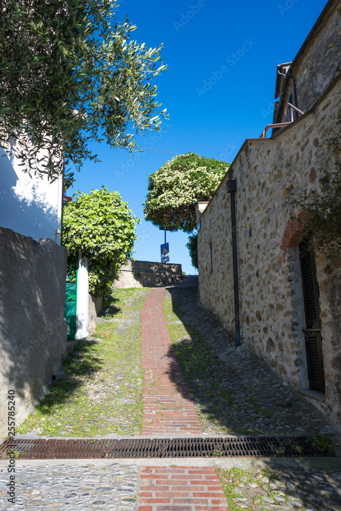 Fototapeta premium Picturesque alley in the medieval village