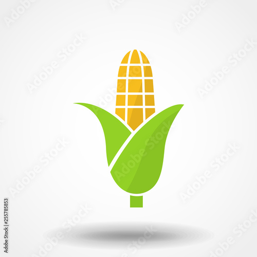 Corn yellow flat icon food natural illustration organic logo vector organic agriculture corning field corncob farm