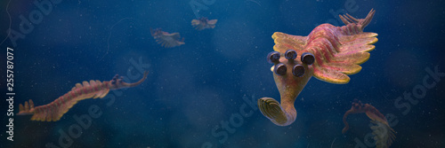 group of Opabinia regalis, prehistoric aquatic animal from the Cambrian Period (3d science illustration banner) photo