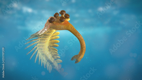 swimming Opabinia regalis, prehistoric aquatic animal from the Cambrian Period  photo