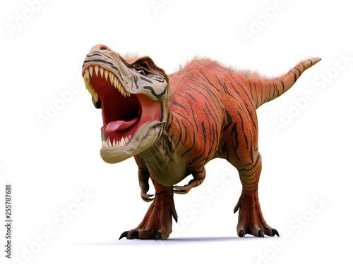 Tyrannosaurus rex, T-rex dinosaur from the Jurassic period (3d rendering isolated with shadow on white background) © dottedyeti