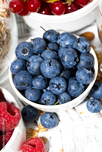 fresh blueberries  raspberries and breakfast products  vertical top view