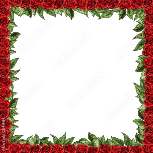 Elegant red roses and green leaves floral bouquet vector design frame