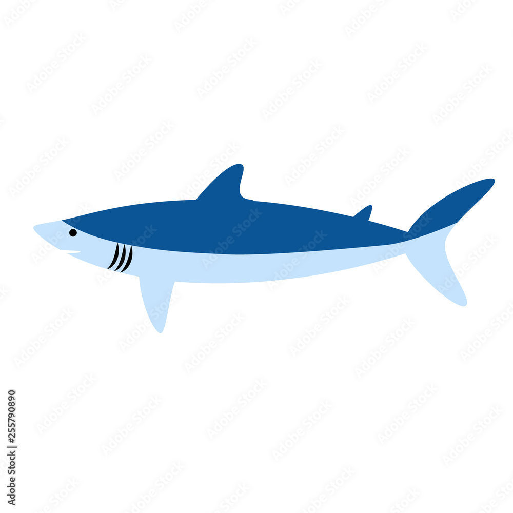 shark flat illustration