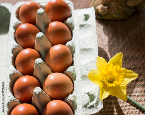 Box of eggs and narsissus  photo