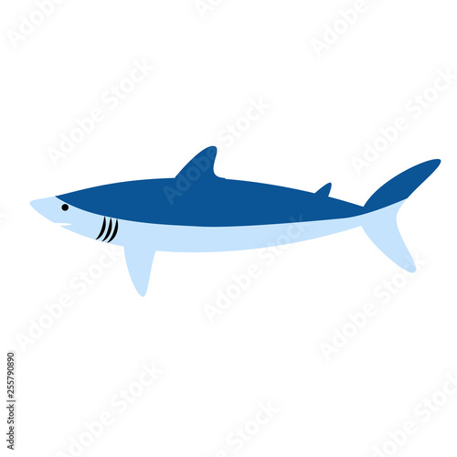 shark flat illustration