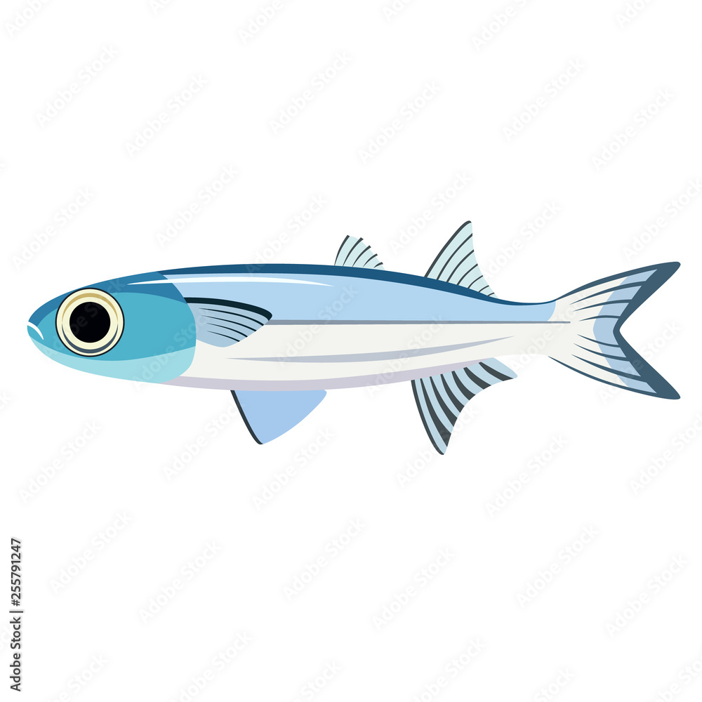 Fototapeta premium fish flat illustration