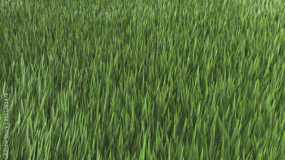 Green Grass field. 3D illustration. 3D rendering. Green Grass field. 3D illustration. 3D rendering.