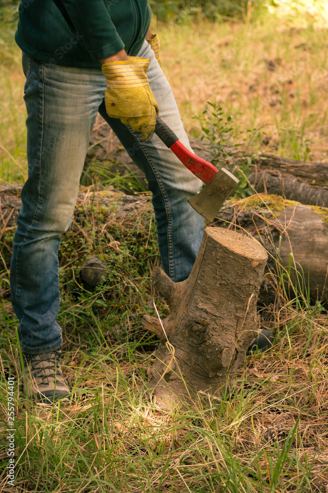 Man cutting woodand a red axe at the backyard of a house in the mountains, surrounded by forests. Gathering wood before and after the winter. Cleaning the garden. Working at home. Seasonal job