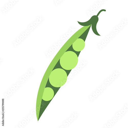 green peas branch flat simple illustration
