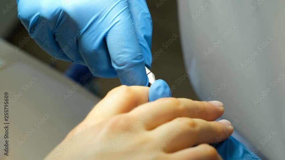 Manicurist working with cuticle nipper. Nail care and cuticle removal at a beauty salon. Process of manicure making. Manicurist working with cuticle nipper. Nail care and cuticle removal at a beauty salon. Process of manicure making.