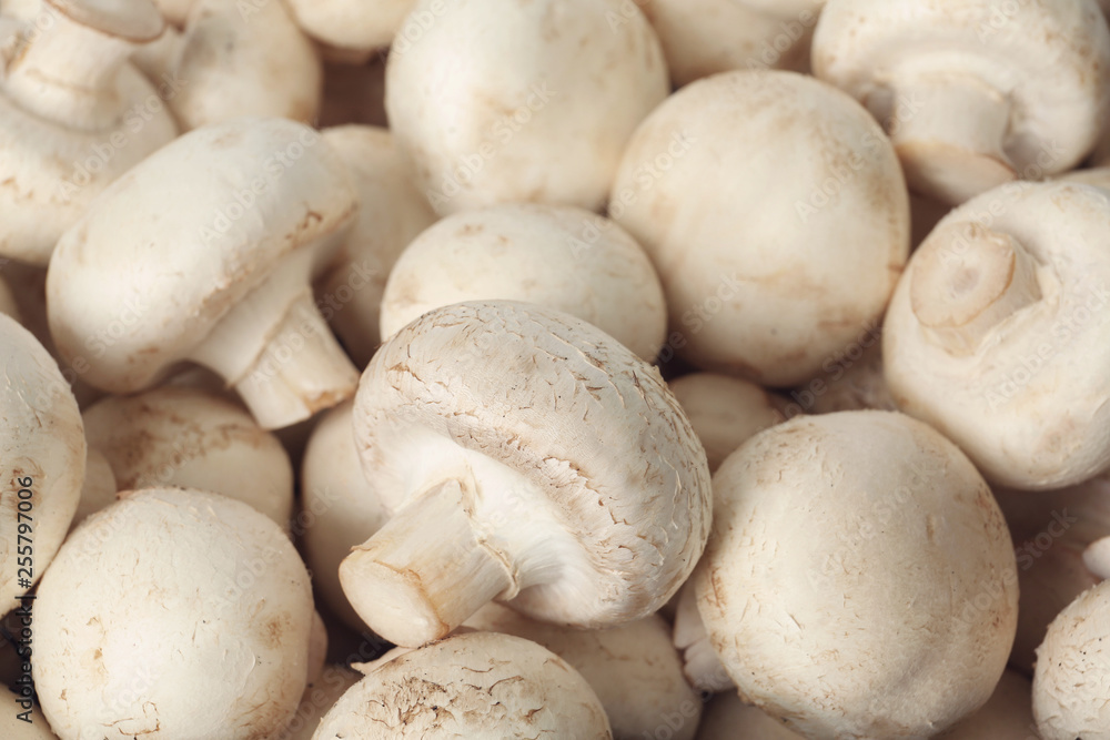 Fresh raw champignon mushrooms as background, closeup