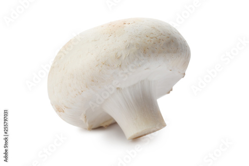 Fresh raw champignon mushroom on white background