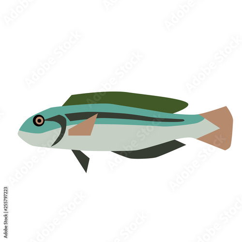 fish flat style illustration