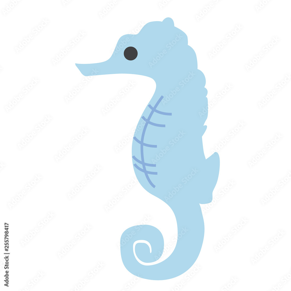 sea horse flat illustration