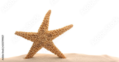Pile of beach sand with sea star isolated on white