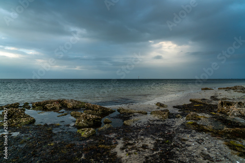 Wallpaper Mural A look around Emerson Point Preserve and a beautiful sunset over Tampa Bay. Torontodigital.ca