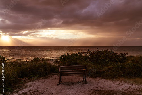 A look around Emerson Point Preserve and a beautiful sunset over Tampa Bay. © Richard