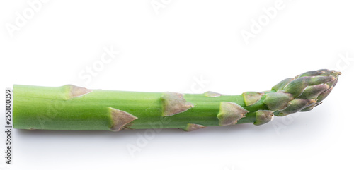 One green fresh asparagus sprout white background.