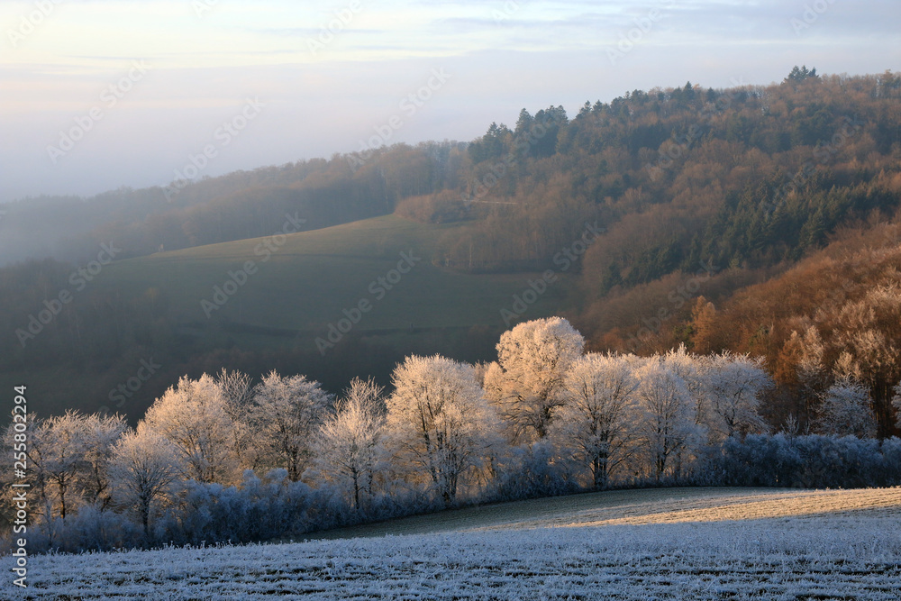 Obraz premium Winterlandschaft im Odenwald