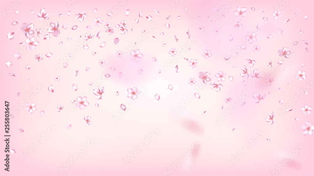 Nice Sakura Blossom Isolated Vector. Feminine Blowing 3d Petals Wedding Texture. Japanese Gradient Flowers Wallpaper. Valentine, Mother's Day Beautiful Nice Sakura Blossom Isolated on Rose