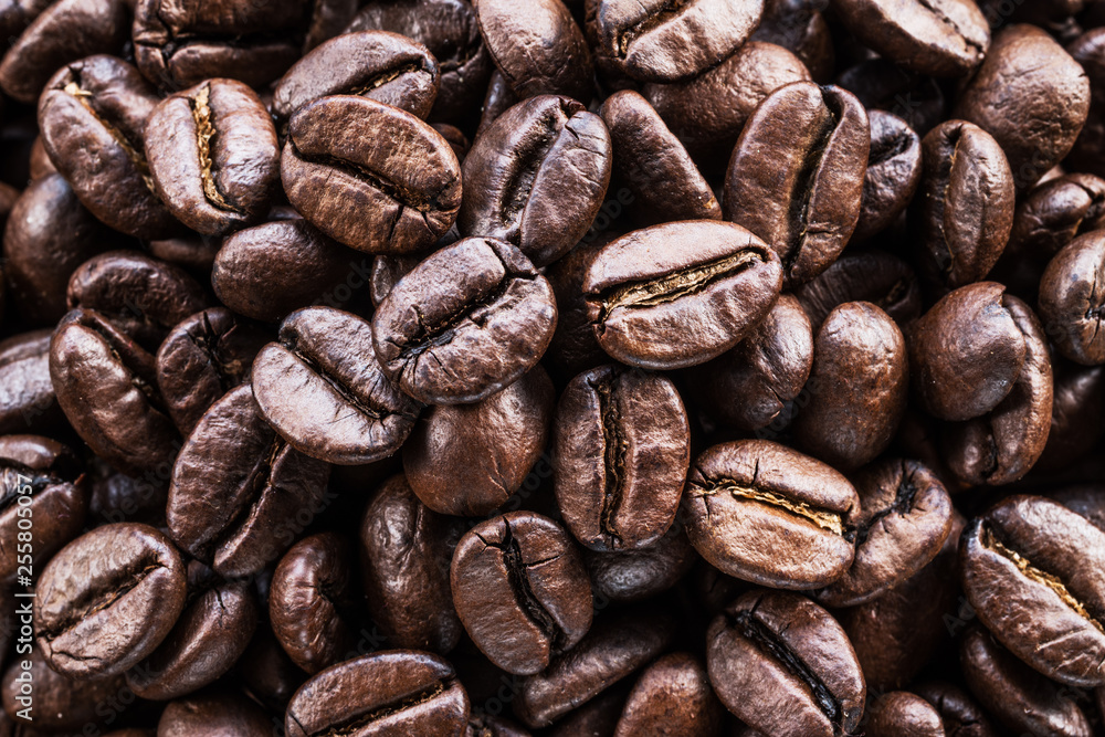 Fototapeta premium Roasted coffee beans. Food and drink background. Top view.