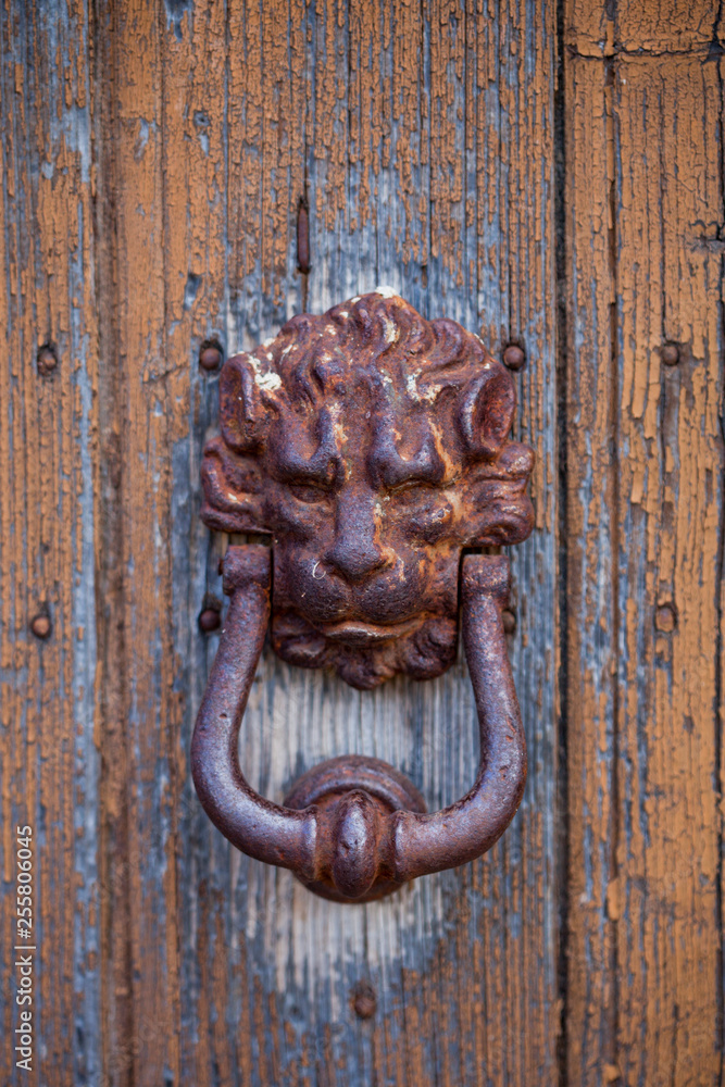 Ancient italian lion shaped door knocker.