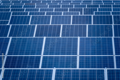 Solar panels in a row, solar panels grid, close up. photovoltaic system