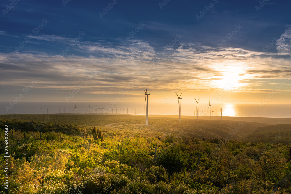 Energía eólica en parque eólico al atardecer con turbinas eólicas Energía eólica en parque eólico al atardecer con turbinas eólicas